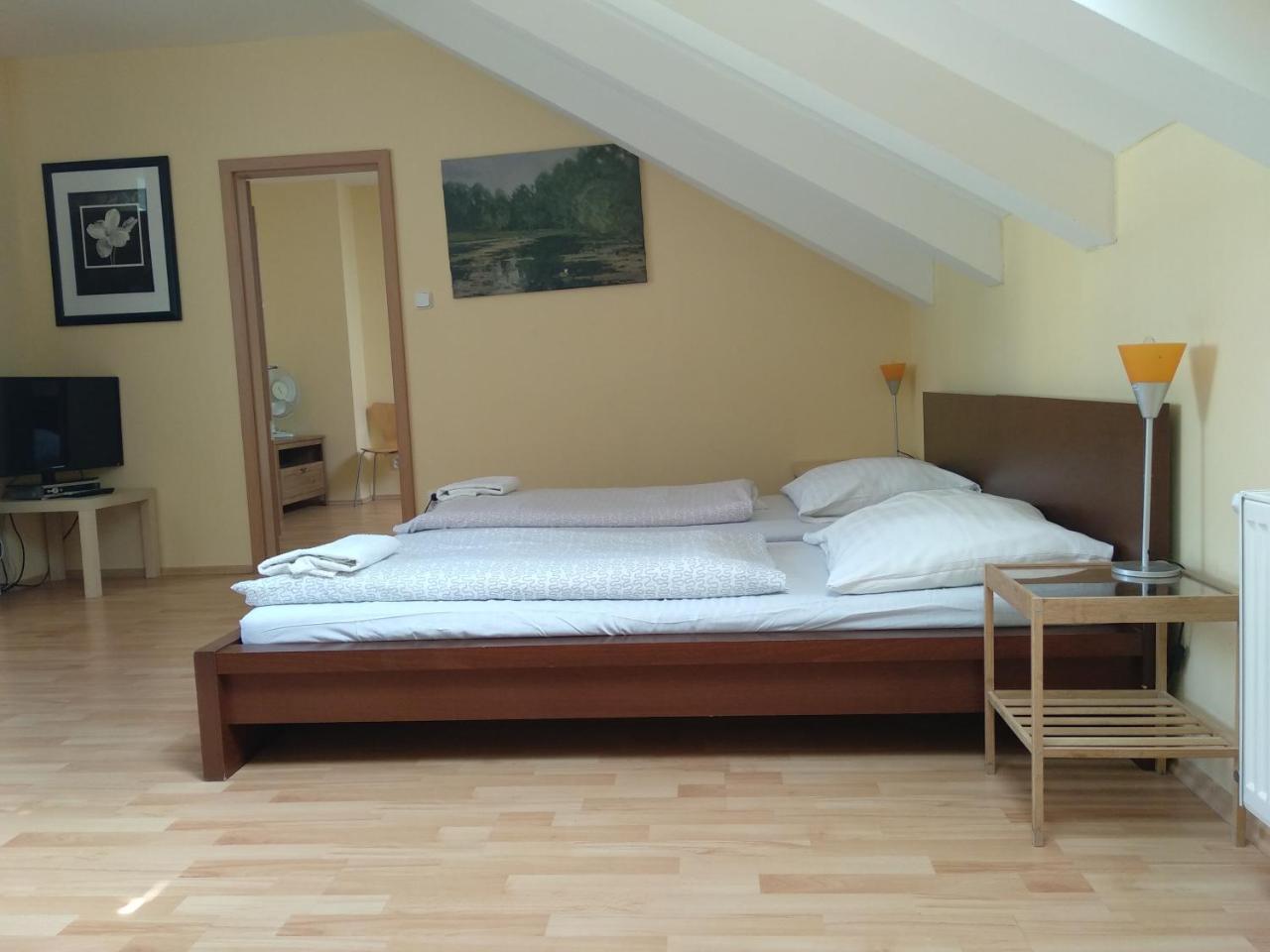 Pinkas Apartmán *